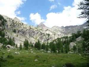 P1070699 
